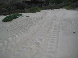 f0135018_847772.jpg