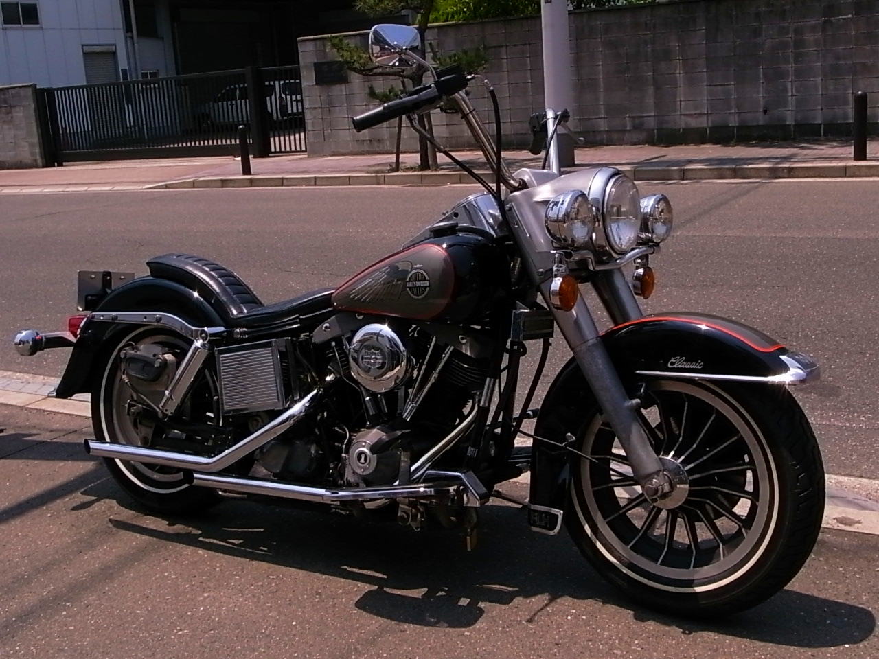 1981 Harley Davidson FLH_b0160319_10365253.jpg
