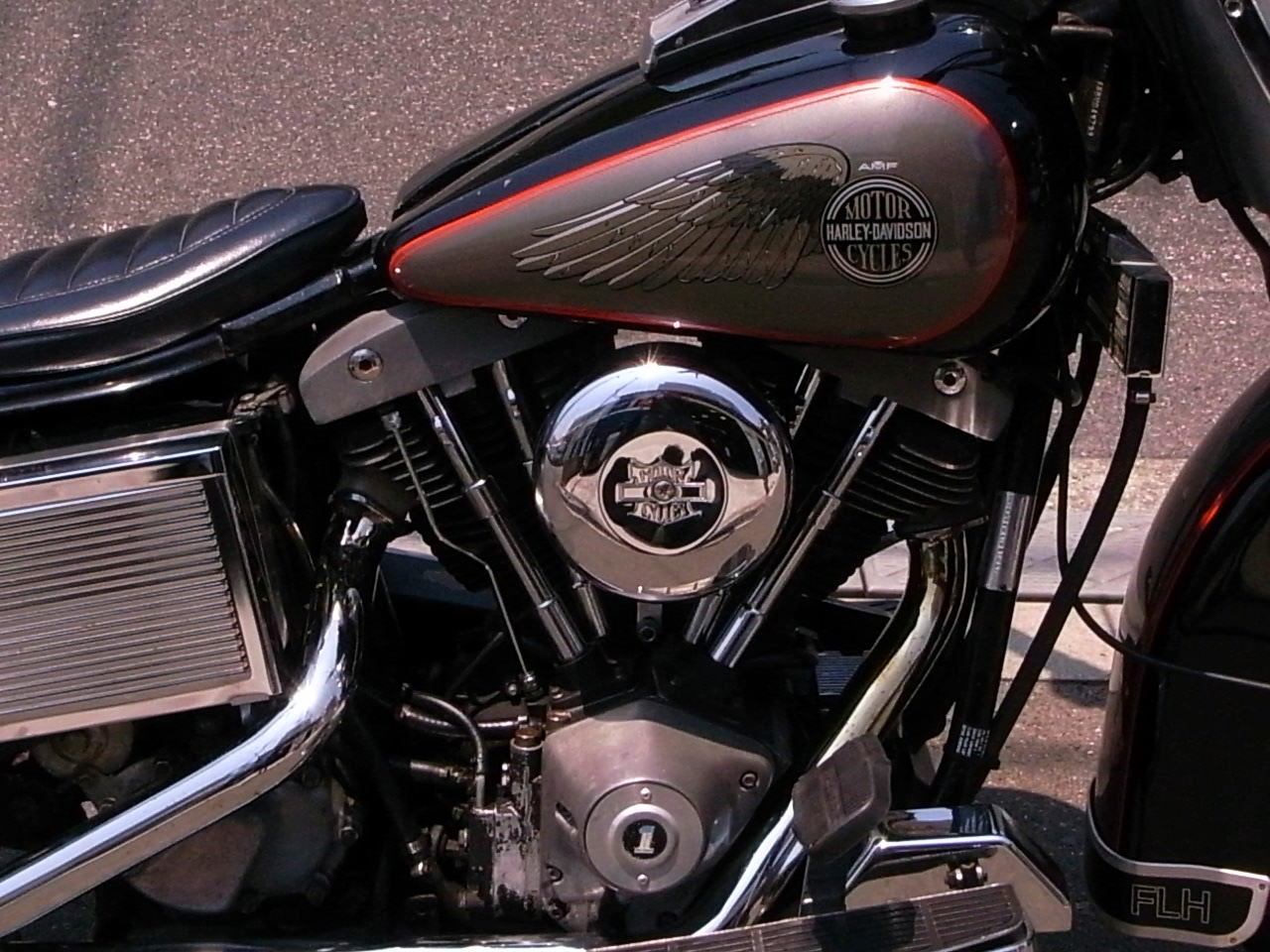 1981 Harley Davidson FLH_b0160319_10371928.jpg