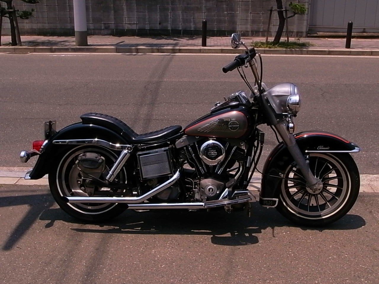 1981 Harley Davidson FLH_b0160319_10374416.jpg