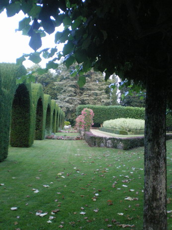 c0124619_5214349.jpg