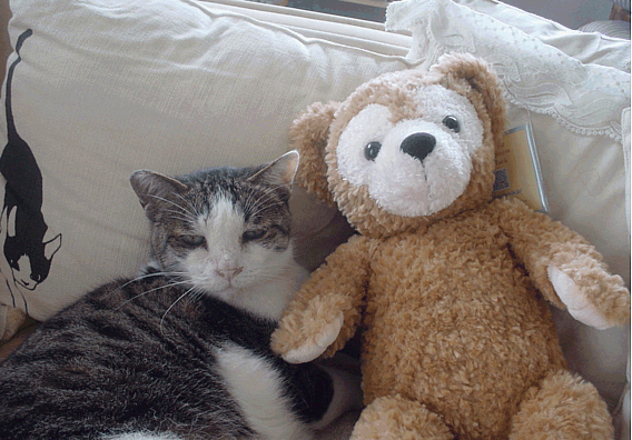 b0024623_1223657.gif