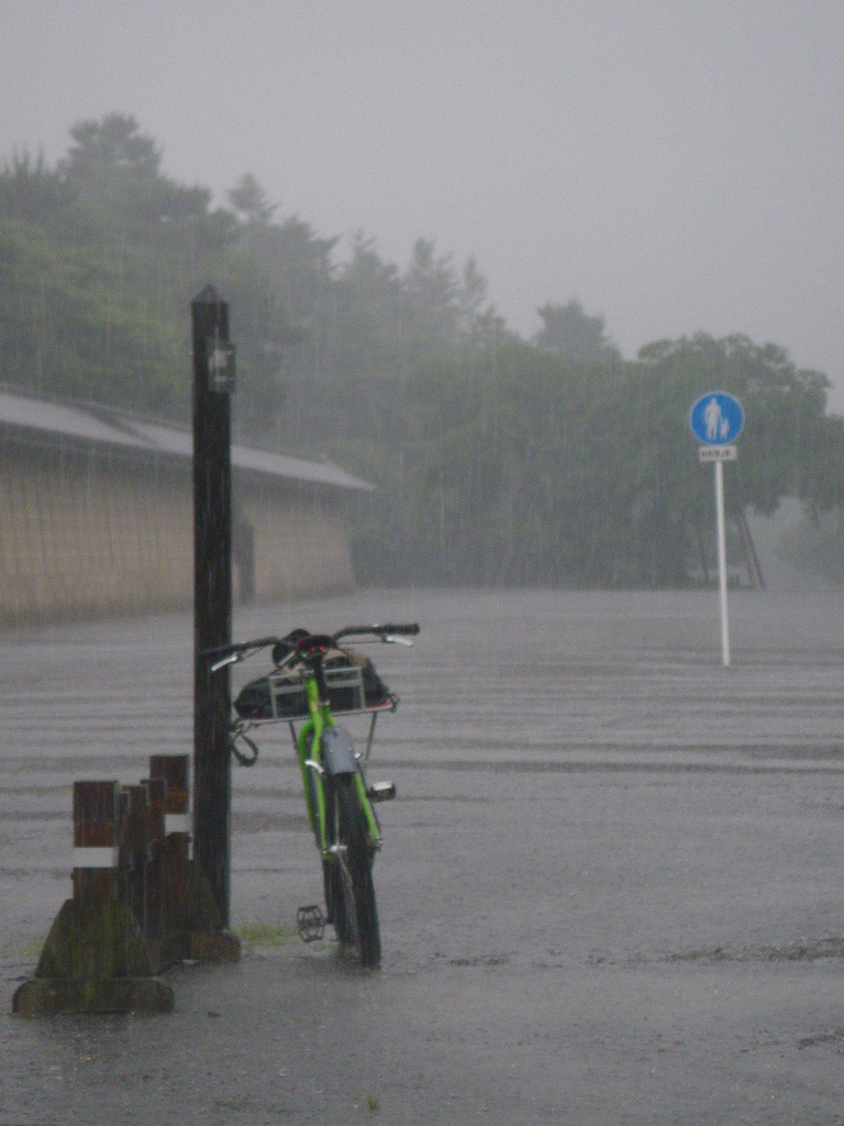 こんな日に試乗車導入。_c0189724_19195381.jpg