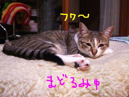 a0099131_0301286.jpg
