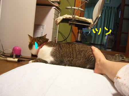 a0099131_0302485.jpg