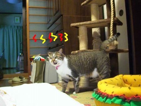 a0099131_0304586.jpg
