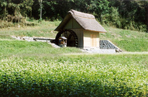 f0161535_1183361.jpg