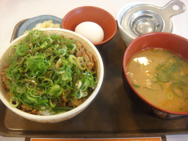 葱玉牛丼の朝ご飯です。_d0179736_22523153.jpg