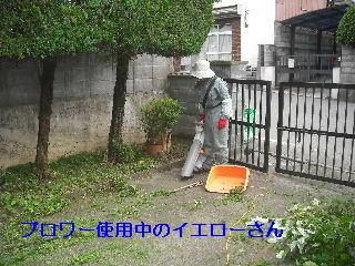 植木戦隊_f0031037_20564431.jpg