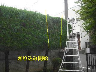植木戦隊_f0031037_2143474.jpg