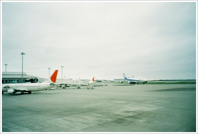d0070641_2023627.jpg