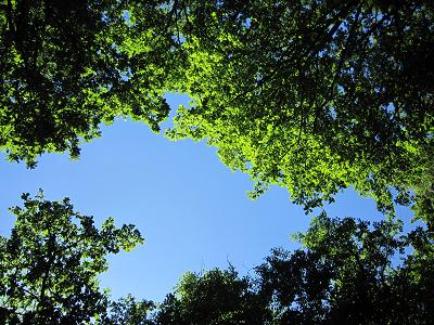 c0143243_1781354.jpg