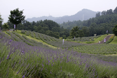 b0016545_223699.jpg