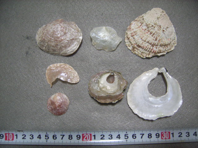 a0157451_21422666.jpg