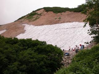 d0176157_8141194.jpg