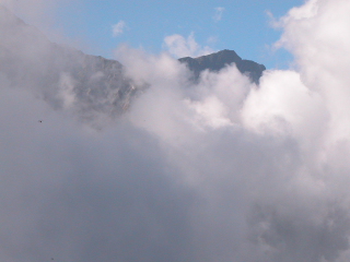 d0176157_8244024.jpg