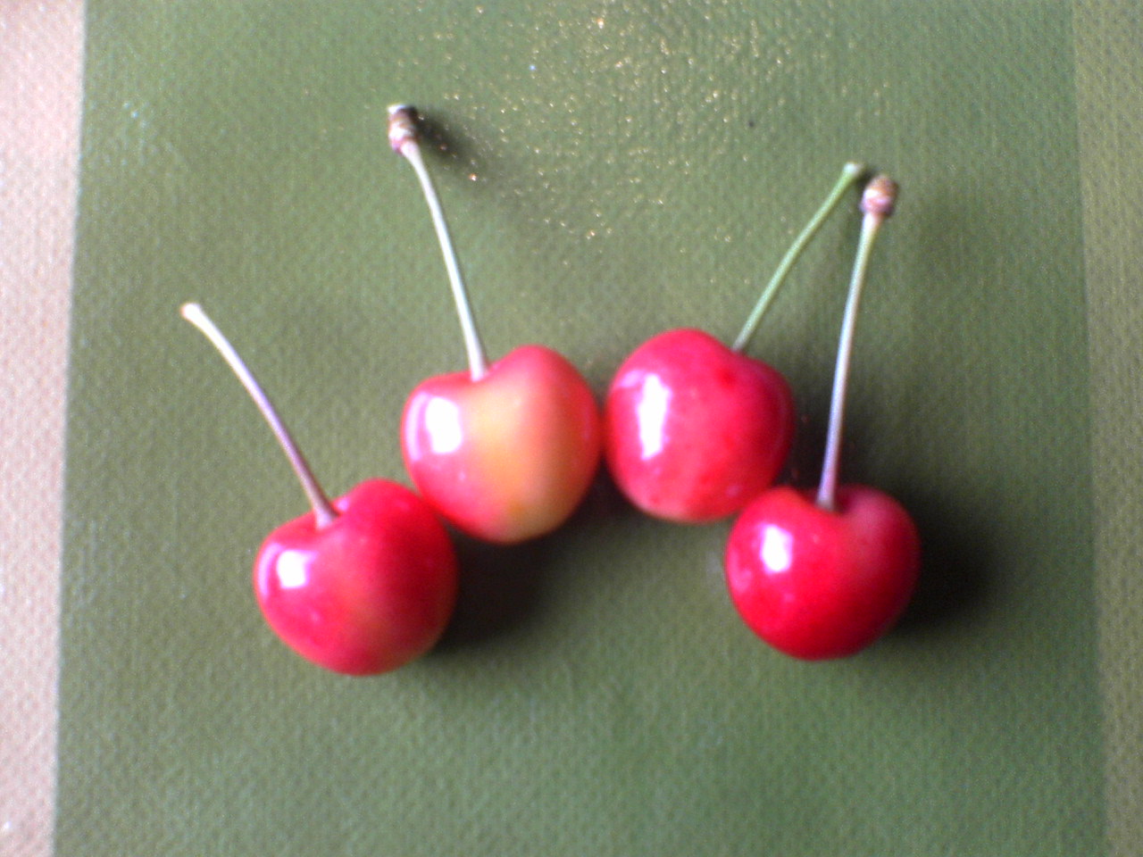 d0098665_1893968.jpg