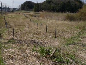 物井一号線道路工事定点観測_b0025371_0181191.jpg