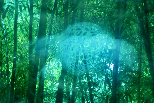 c0204971_212277.jpg