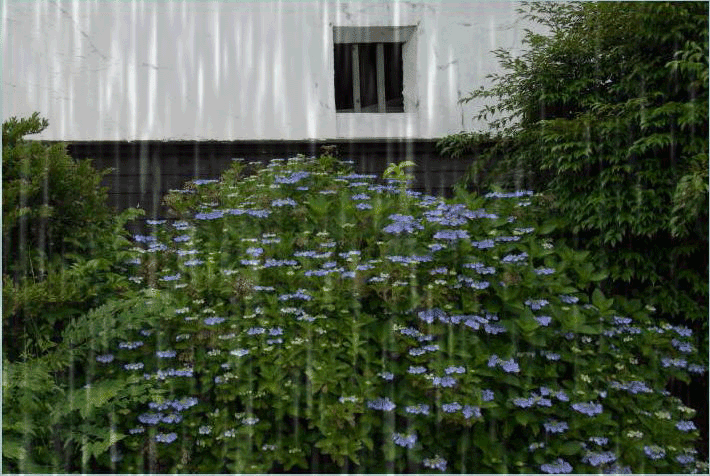 f0182571_1620156.gif