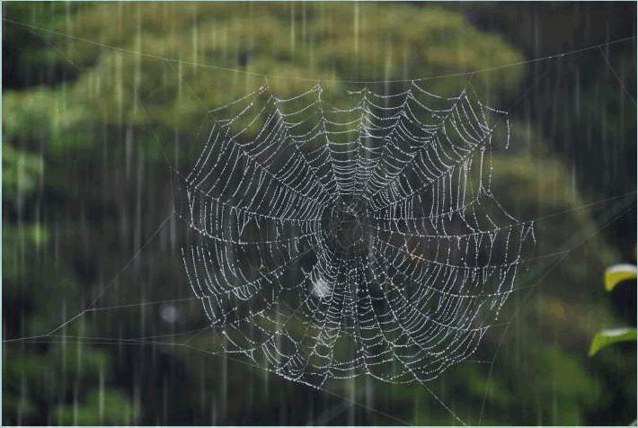 f0182571_16244387.gif
