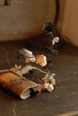 b0173176_16582189.gif