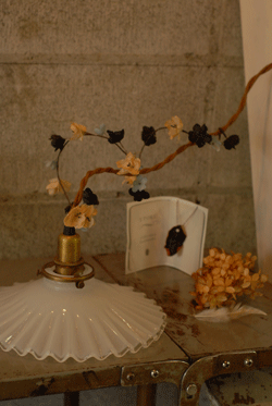 b0173176_1658328.gif