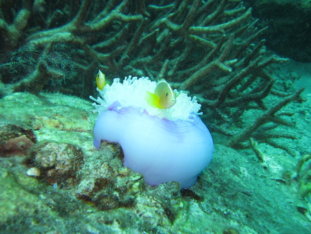 a0002177_19874.jpg