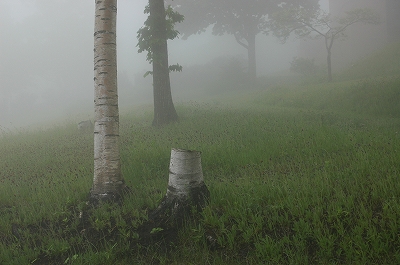 c0212083_2348470.jpg
