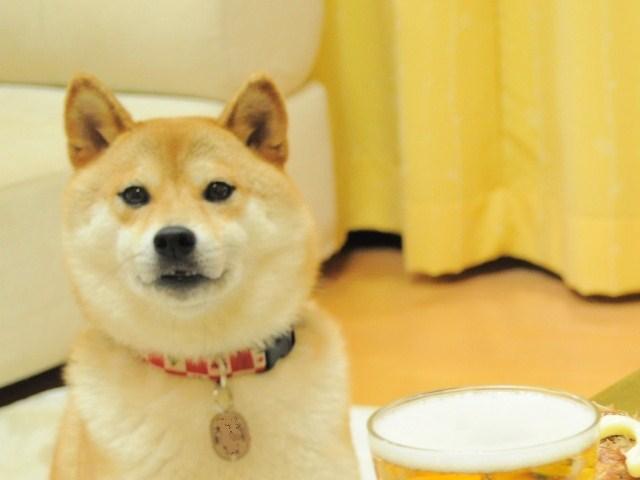 居酒屋かぼちゃん_a0126590_5511887.jpg