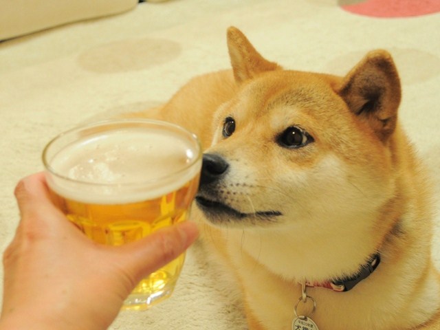 居酒屋かぼちゃん_a0126590_5541694.jpg