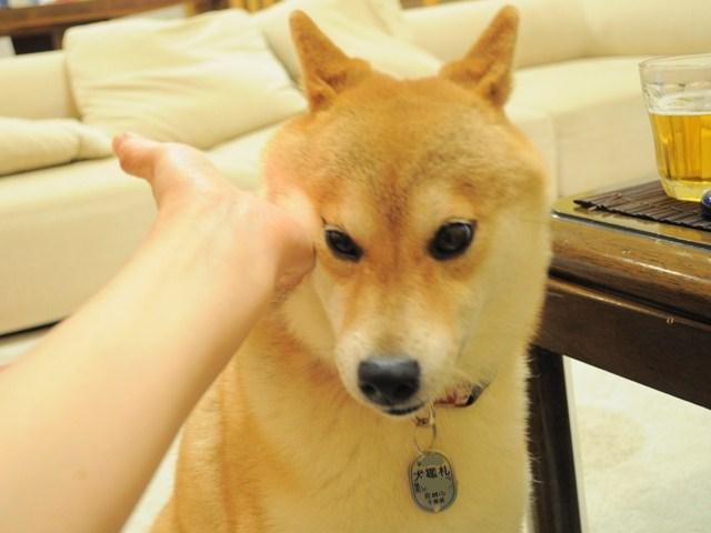 居酒屋かぼちゃん_a0126590_5555449.jpg