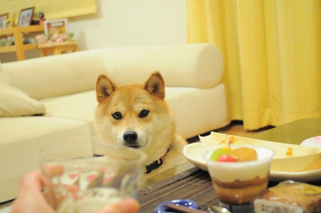 居酒屋かぼちゃん_a0126590_5572544.jpg