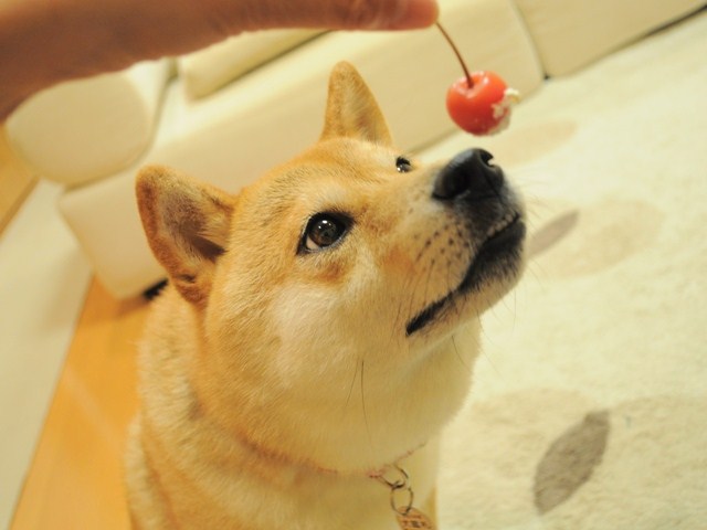居酒屋かぼちゃん_a0126590_5582380.jpg