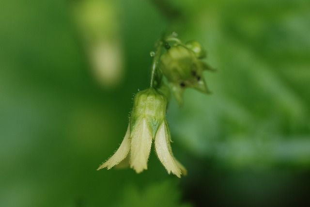 d0168292_20441769.jpg