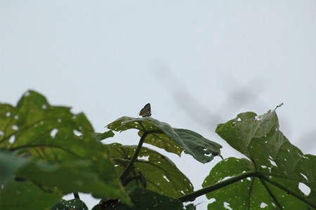 c0049095_20335769.jpg