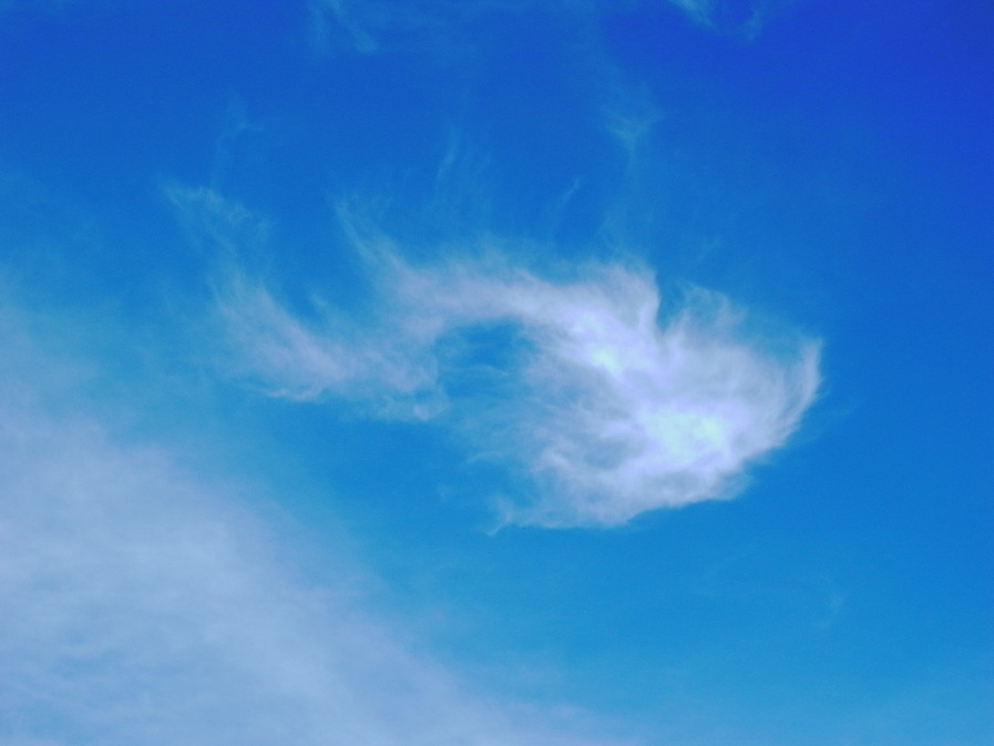 マイフィ-ルド 4 _e0111396_0145345.jpg
