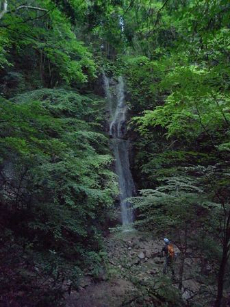 マイフィ-ルド 4 _e0111396_026051.jpg
