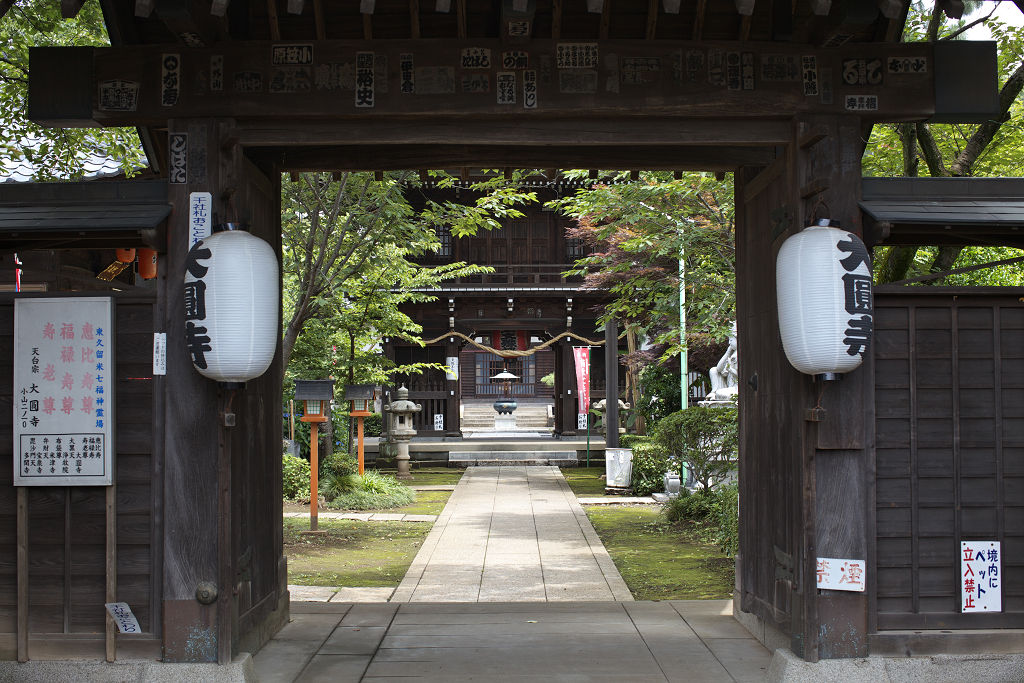 2010年7月4日　50mm　大圓寺_a0060403_23342224.jpg