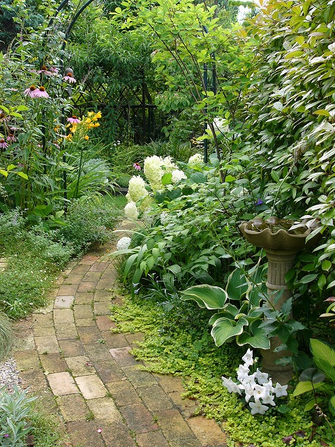 a0123003_9595919.jpg