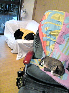d0023103_2122160.jpg