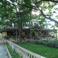 f0192006_332483.jpg