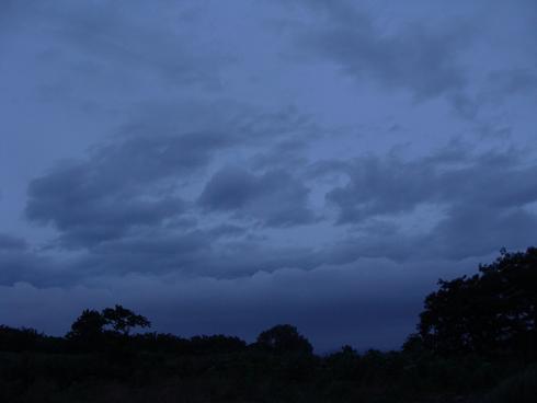 e0123808_1542830.jpg