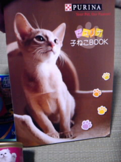 ピュリナ 子猫ご飯_e0033609_1931259.jpg