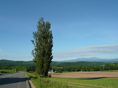 b0172311_04885.jpg