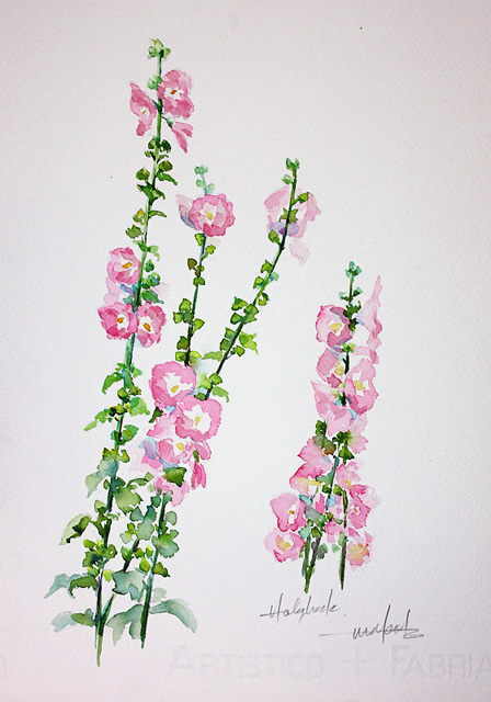 立葵　hollyhock_b0144315_082254.jpg