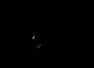 c0014117_16422277.jpg