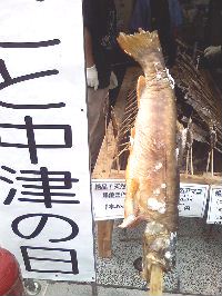中津の日_e0028417_16212933.jpg