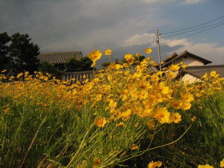 a0152820_0135266.jpg