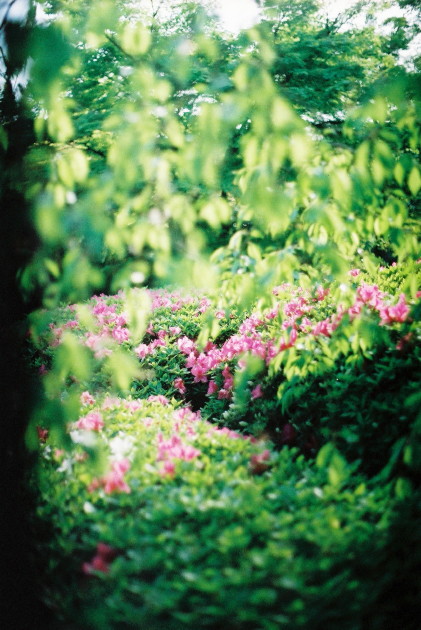 b0132924_1344248.jpg